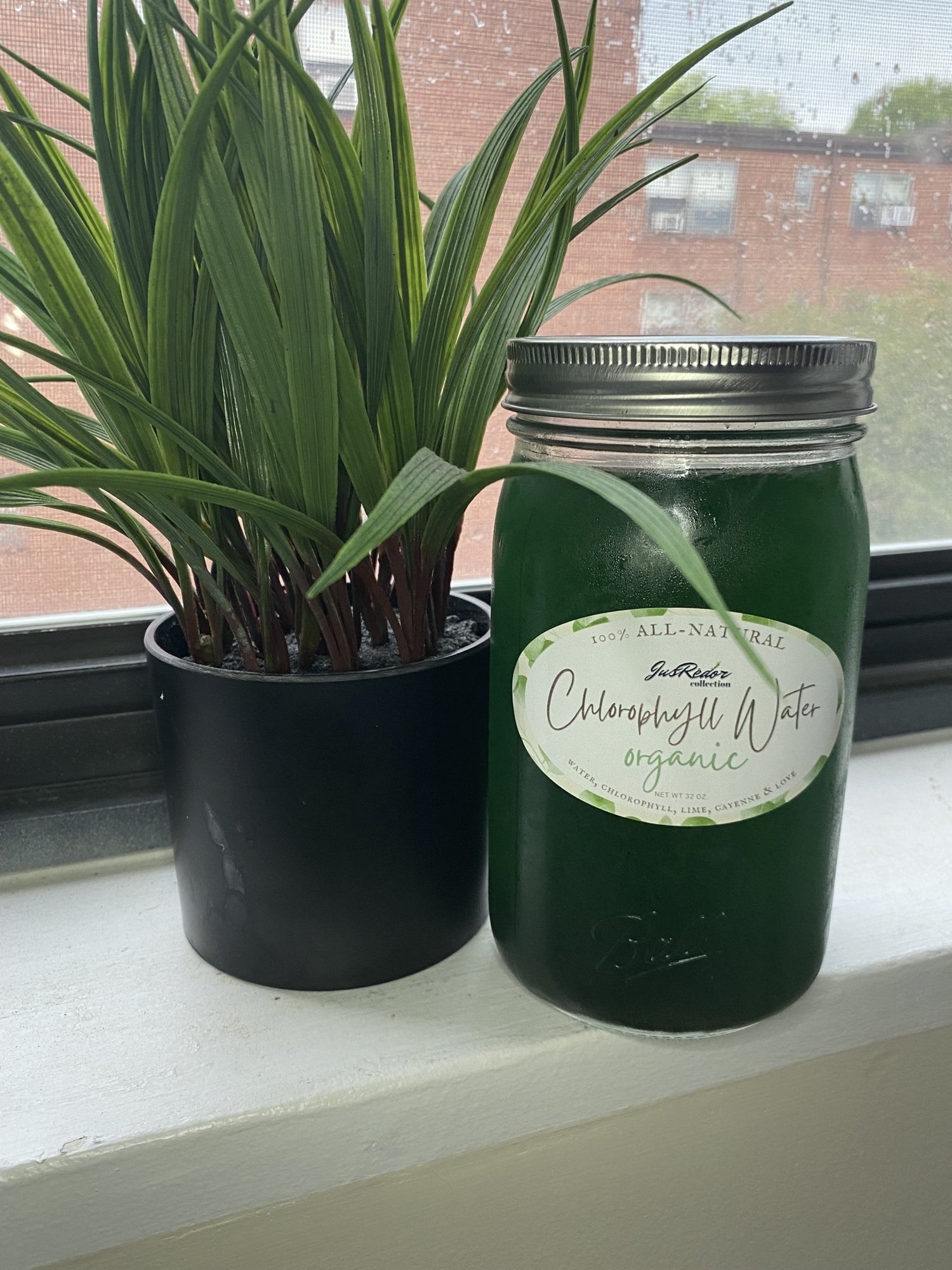 Chlorophyll Water - JusRédor